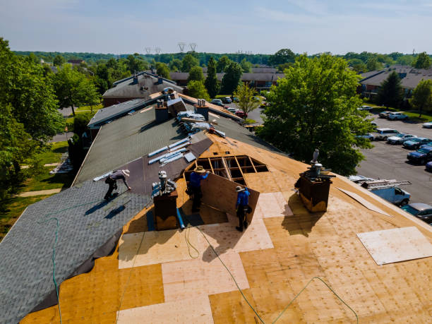 Best Gutter Installation and Roofing  in Woodbourne, PA